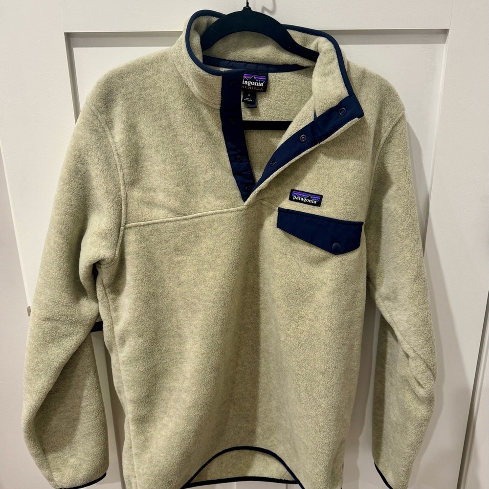 Patagonia Men's Lightweight Synchilla® Snap-T® Fleece Pullover